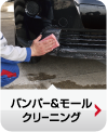 バンパーモールクリーニング