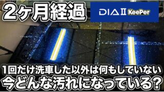 ダイヤⅡキーパーの２ヶ月後